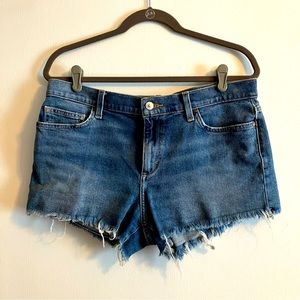 Joe’s Jeans Denim Shorts in Size L (W31)